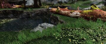 SkyrimSE_2020_12_24_17_15_46_044.jpg