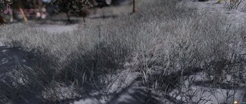 SkyrimSE_2020_12_24_17_59_46_878.jpg