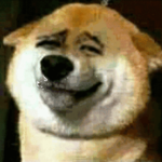 67b6ed961a0f0da6.png