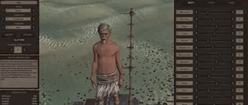 Customisation.gif