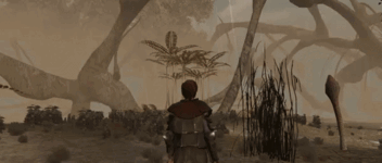 freeroam__1_.gif