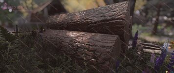 SkyrimSE_2020_10_25_16_08_10_600.jpg