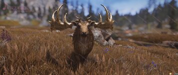 SkyrimSE_2020_10_25_16_42_07_719.jpg