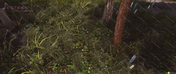 SkyrimSE_2020_10_25_16_46_20_895.jpg
