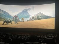 IMG_3733.jpeg