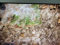 IMG_0959.jpeg
