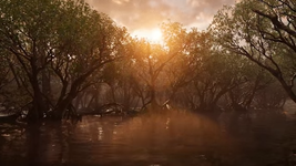 1756348186630.png 1756348186630.png