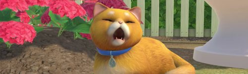 1761289351732.png 1761289351732.png