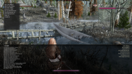 The Elder Scrolls V  Skyrim Special Edition Screenshot 2025.11.02 - 19.16.55.39.png