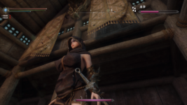 The Elder Scrolls V  Skyrim Special Edition Screenshot 2026.04.12 - 22.51.14.91.png