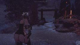 The Elder Scrolls V  Skyrim Special Edition 2022.11.30 - 17.47.19.02 00_00_23-00_00_30 00_00_02-.gif