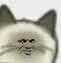 Y6_RTTRMU{8H)(X4CH)8V`U.jpg