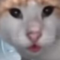 liuchen