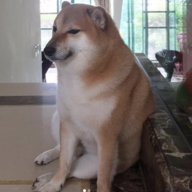 假如真