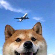 温狗啊ouo