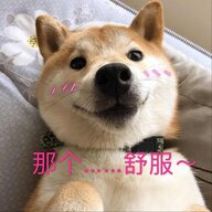 霸气飞龙