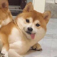 何明天