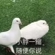 258947