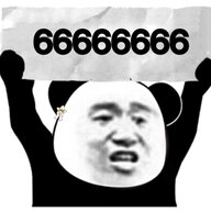45231648