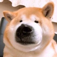 取个啥名字