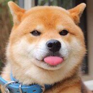 白龙胧