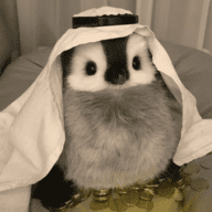 法法大人