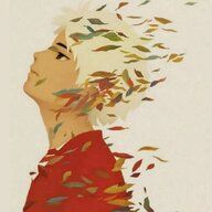 麦格马戈登