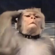 孤烟丿