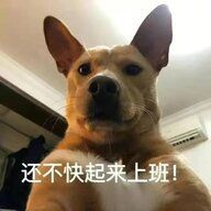 撩月秋风