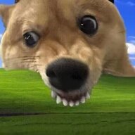 不勤翰墨
