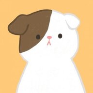 小橘子