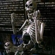奥塔维亚