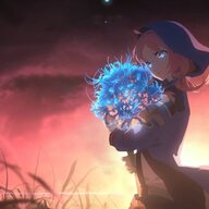 烟花亦是