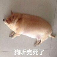 cheng1211