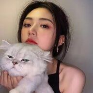 猫猫猫