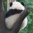 春不语