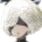 ID不到九点半