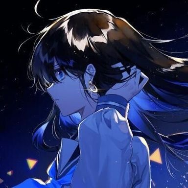 飞鸟L